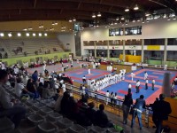 /album/galeria-de-fotos/foto1-jpg/